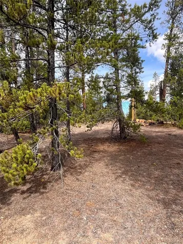 105 Fir Drive Leadville CO 80461