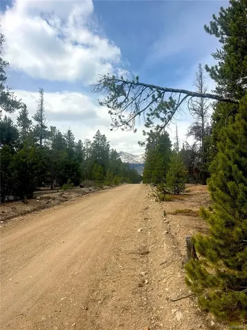 105 Fir Drive Leadville CO 80461