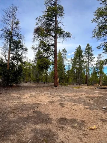 105 Fir Drive Leadville CO 80461
