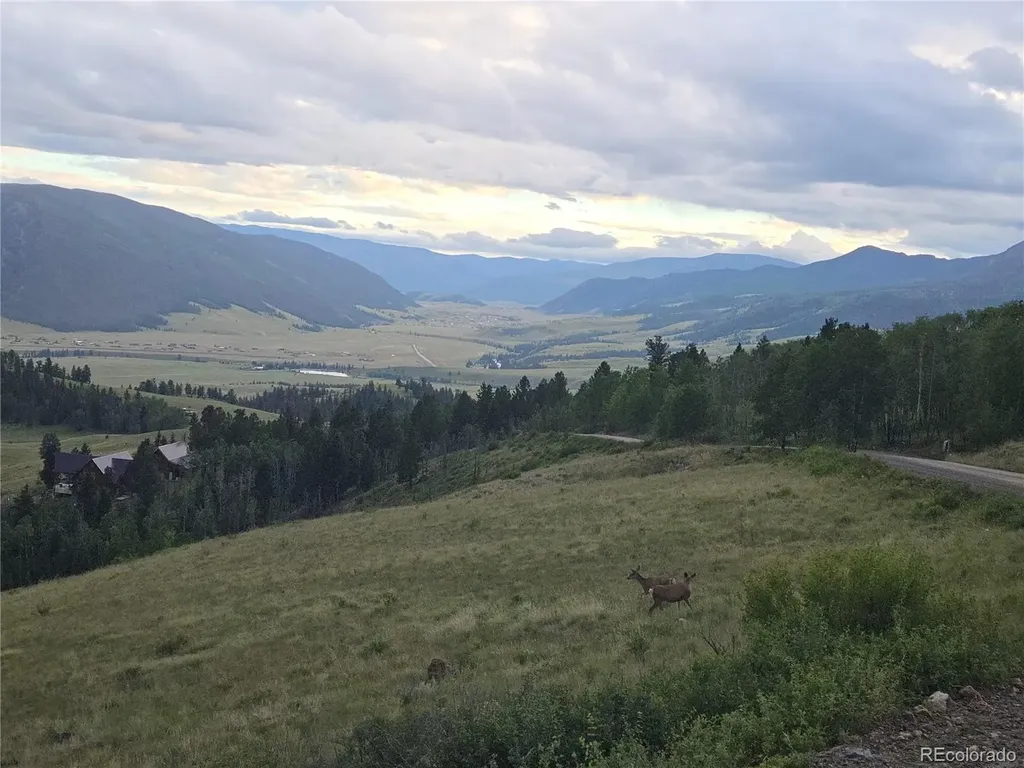 487 County Road 504 Bachelor Loop Creede CO 81130