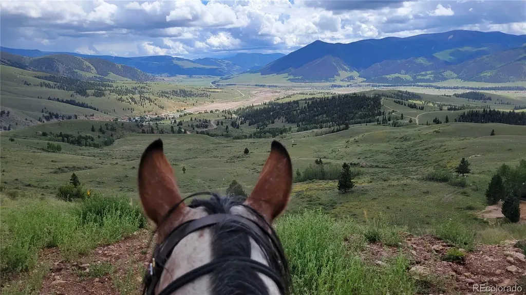 487 County Road 504 Bachelor Loop Creede CO 81130