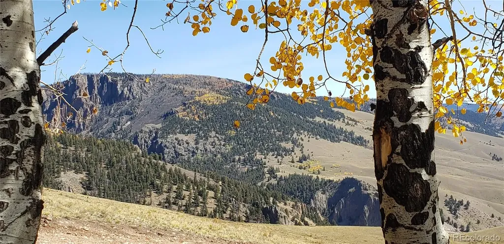 487 County Road 504 Bachelor Loop Creede CO 81130