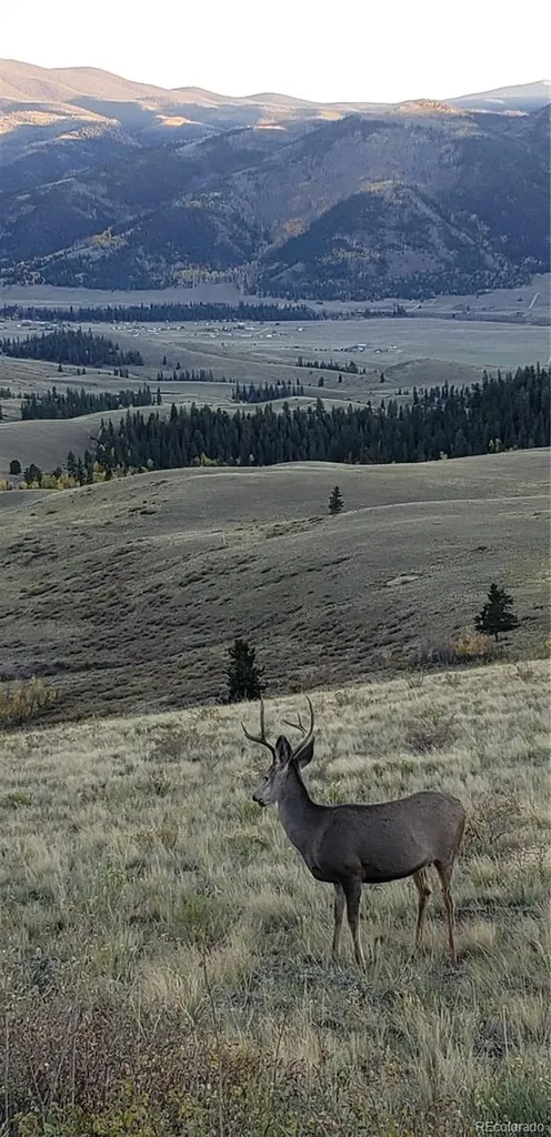 487 County Road 504 Bachelor Loop Creede CO 81130
