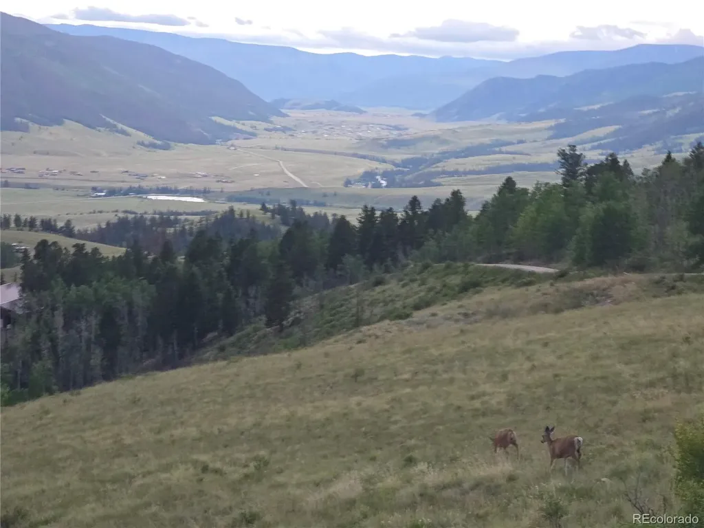 487 County Road 504 Bachelor Loop Creede CO 81130