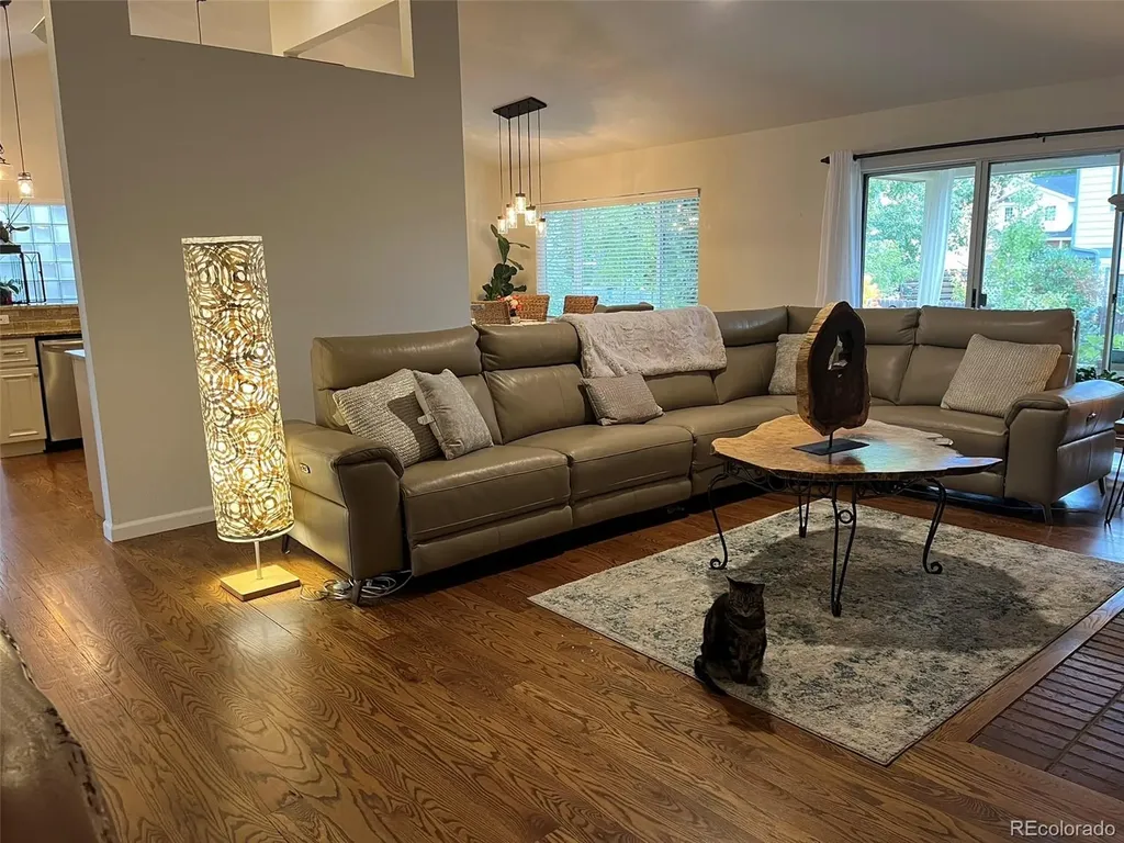 10025 Teton Court Lone Tree CO 80124