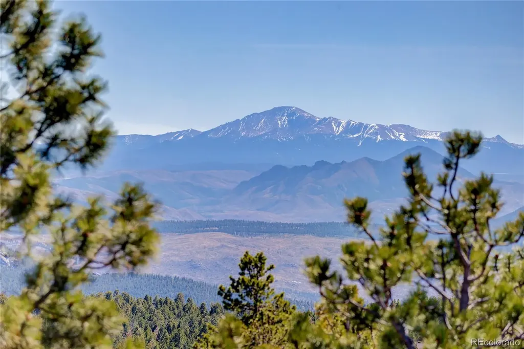 12461 Richmond Court Conifer CO 80433