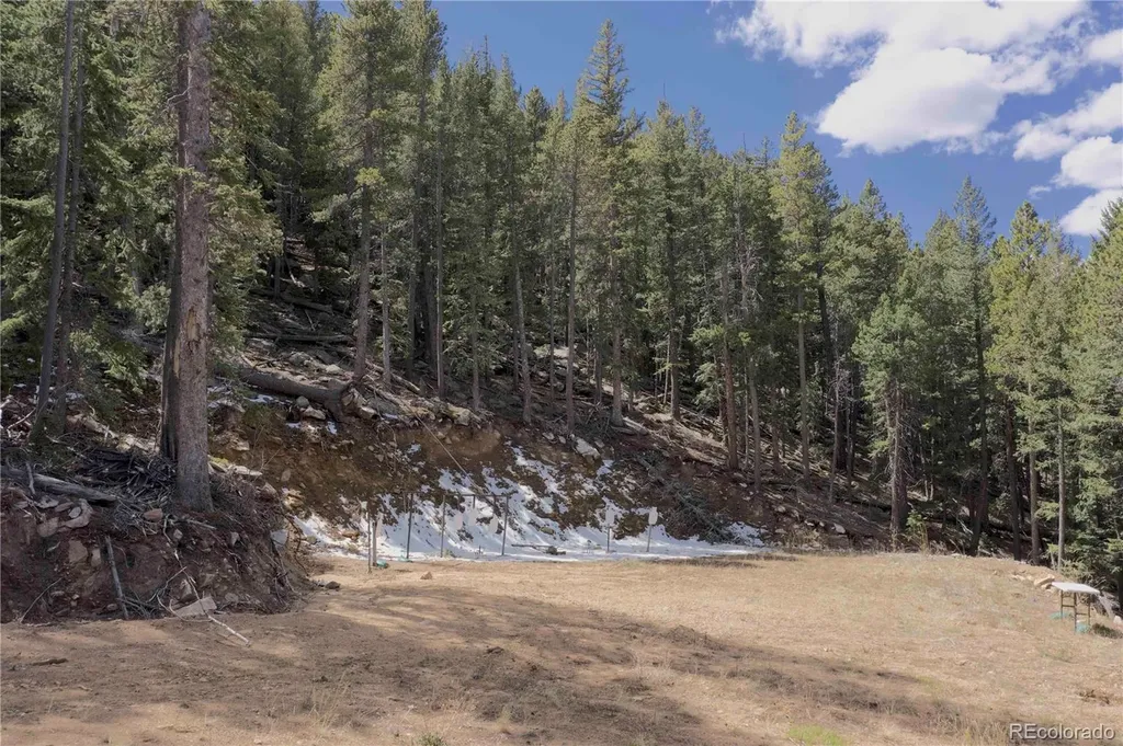 7266 Wood Rock Road Golden CO 80403