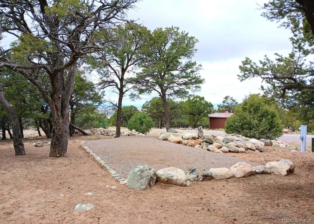 3538 Camino Del Rey Crestone CO 81131