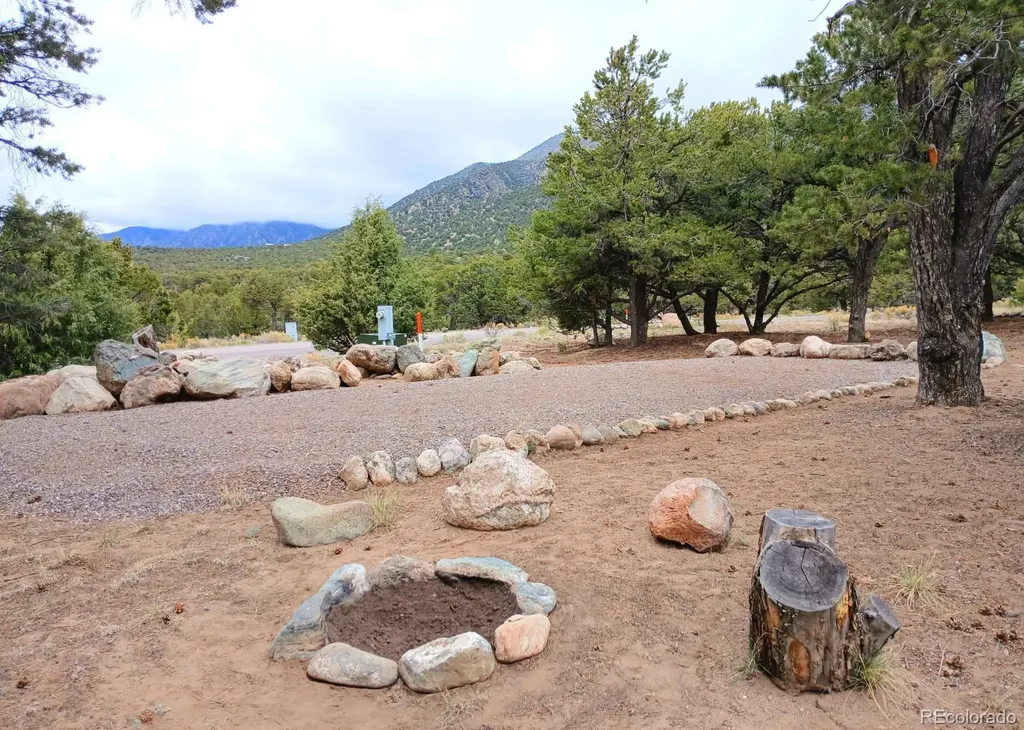 3538 Camino Del Rey Crestone CO 81131