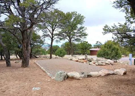 3538 Camino Del Rey Crestone CO 81131