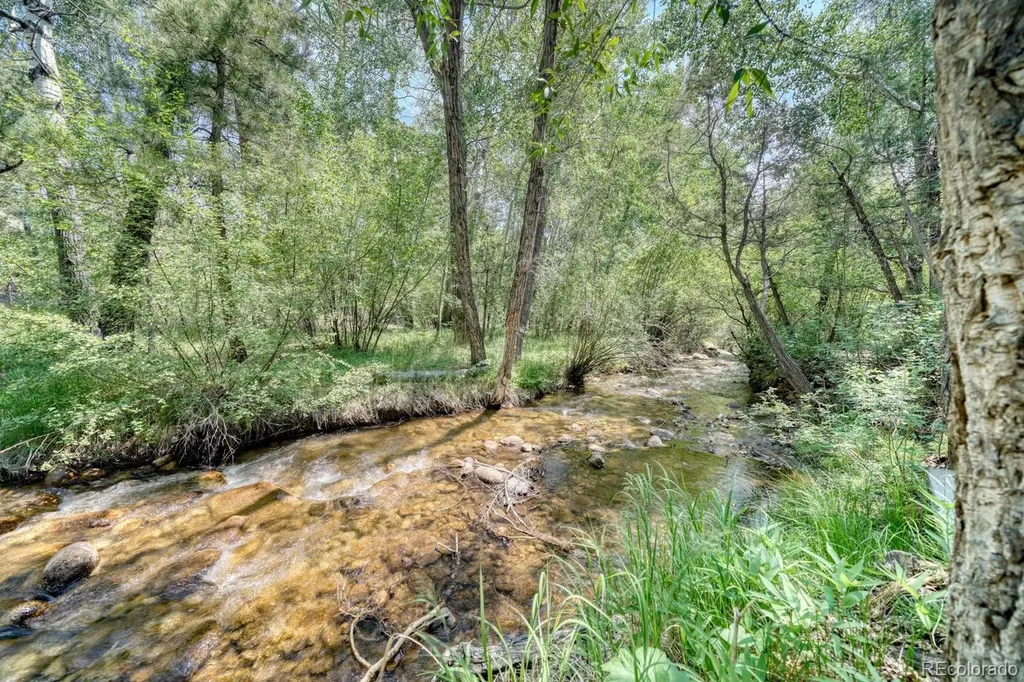 13535 County Road 261c Nathrop CO 81236