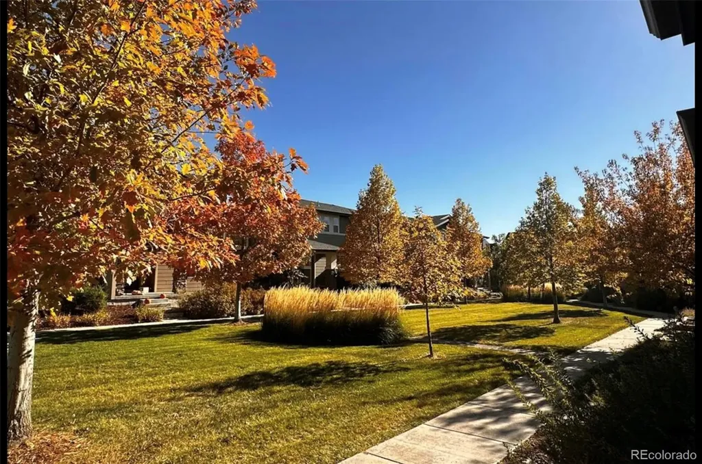 10771 E 28th Place Denver CO 80238