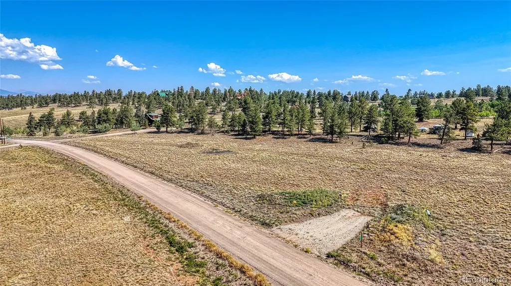 2538 Windmill Drive Hartsel CO 80449