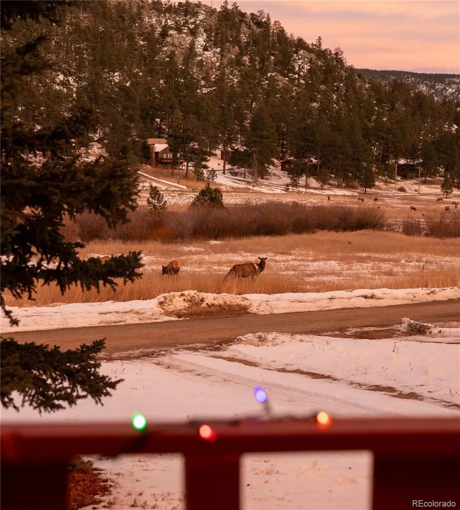 177 Cedar Drive Lyons CO 80540