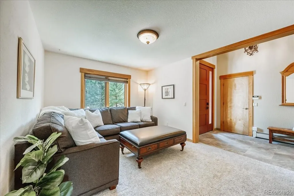 27 Montane Court Dillon CO 80435