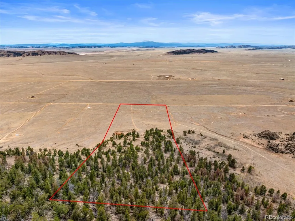 2030 Puma Hills Road Lake George CO 80827