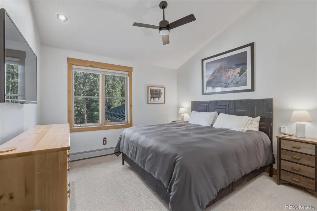 226 Alpen Rose Place Dillon CO 80435