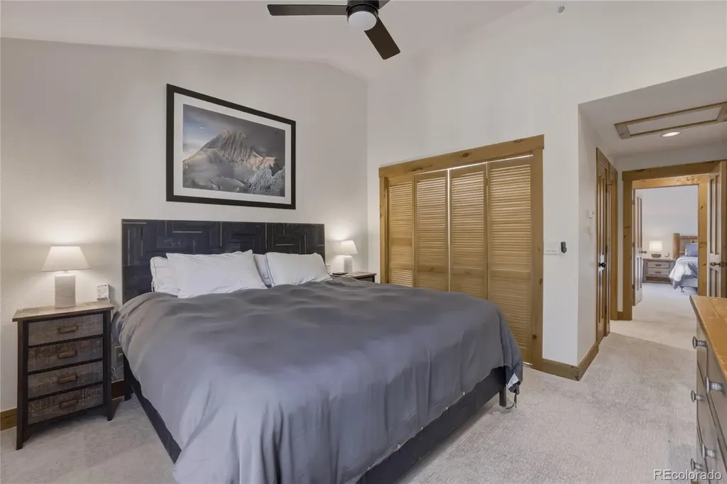 226 Alpen Rose Place Dillon CO 80435