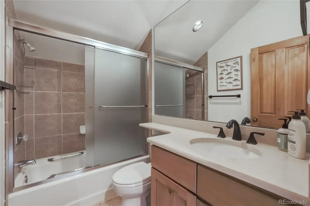 226 Alpen Rose Place Dillon CO 80435