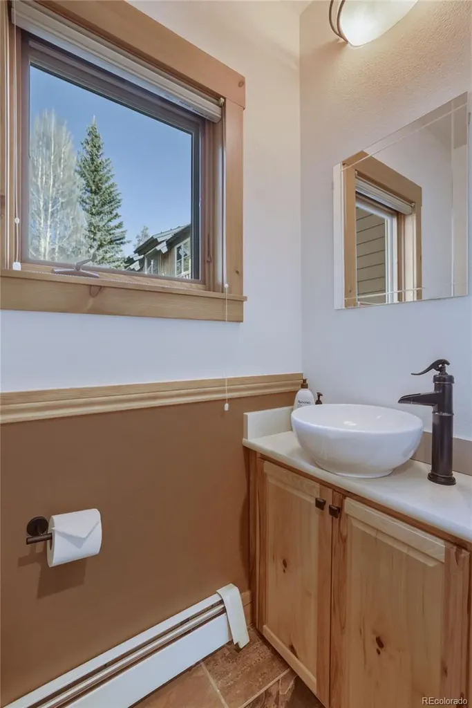 226 Alpen Rose Place Dillon CO 80435
