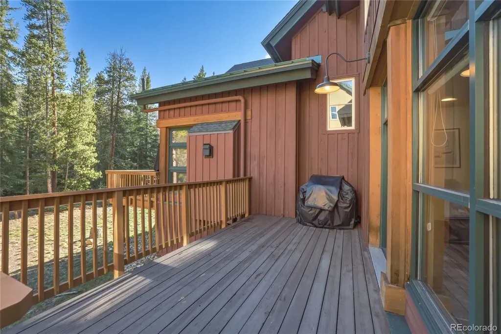 226 Alpen Rose Place Dillon CO 80435