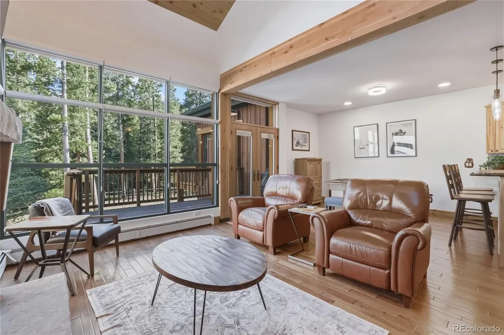 226 Alpen Rose Place Dillon CO 80435