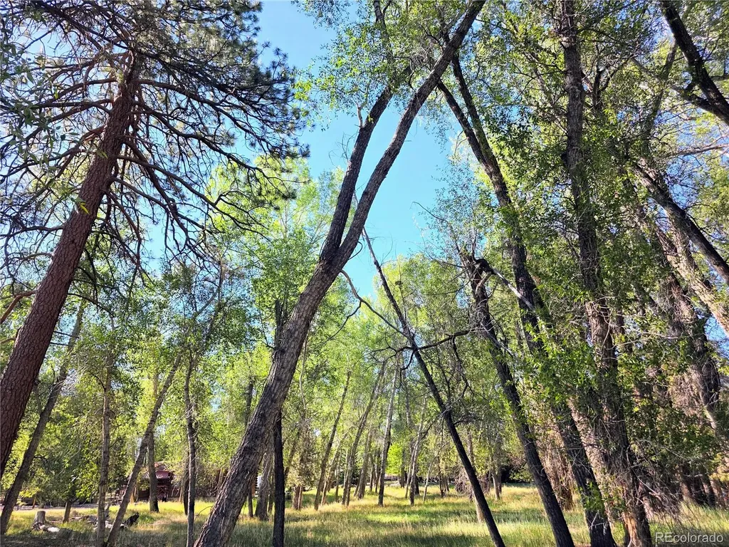 226 S San Juan Unit 10 Avenue Buena Vista CO 81211