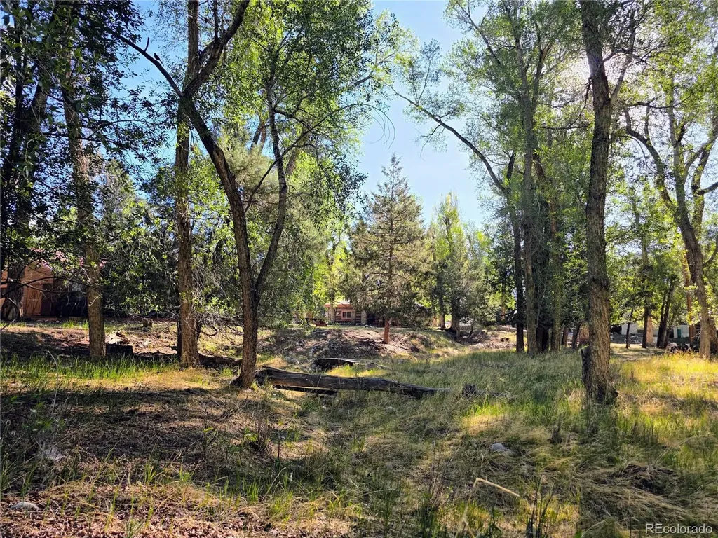 226 S San Juan Unit 10 Avenue Buena Vista CO 81211