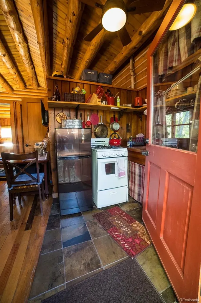 226 S San Juan Unit 10 Avenue Buena Vista CO 81211