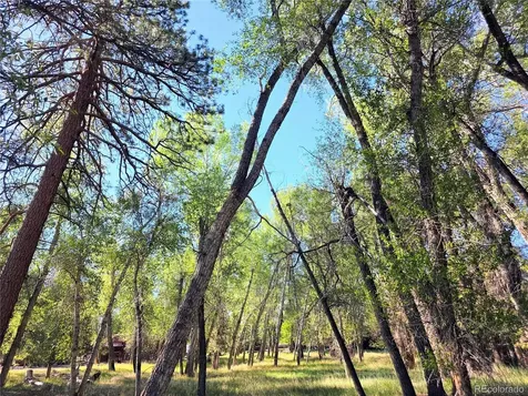226 S San Juan Unit 10 Avenue Buena Vista CO 81211