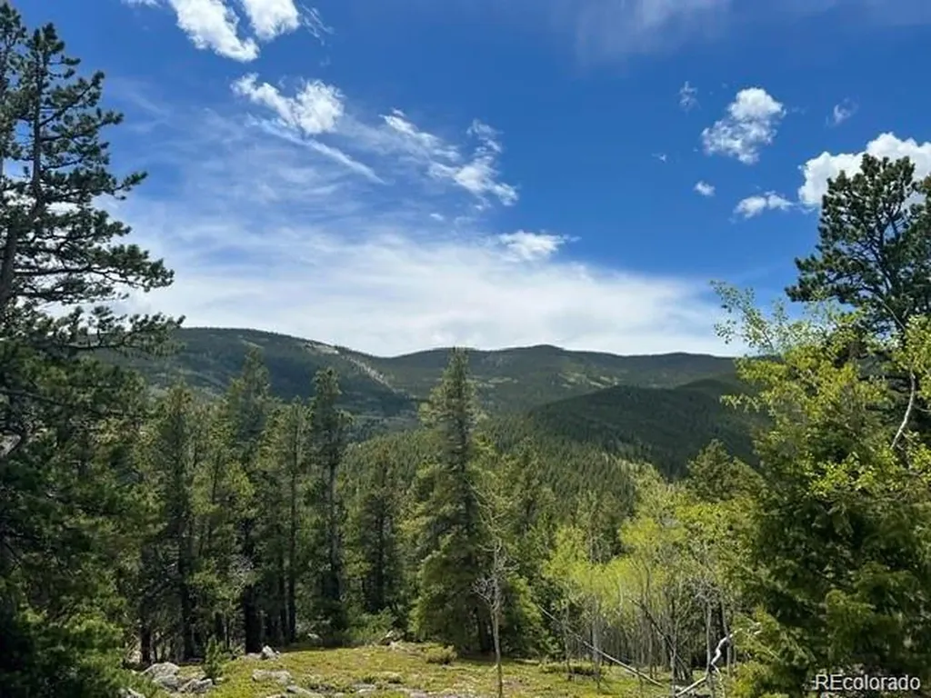 003 Sunny Skies Trail Idaho Springs CO 80452