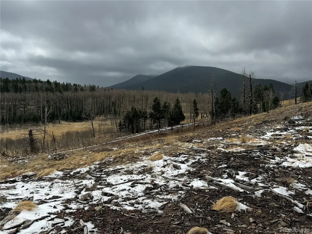 Lot 2415 Petito Drive Fort Garland CO 81133