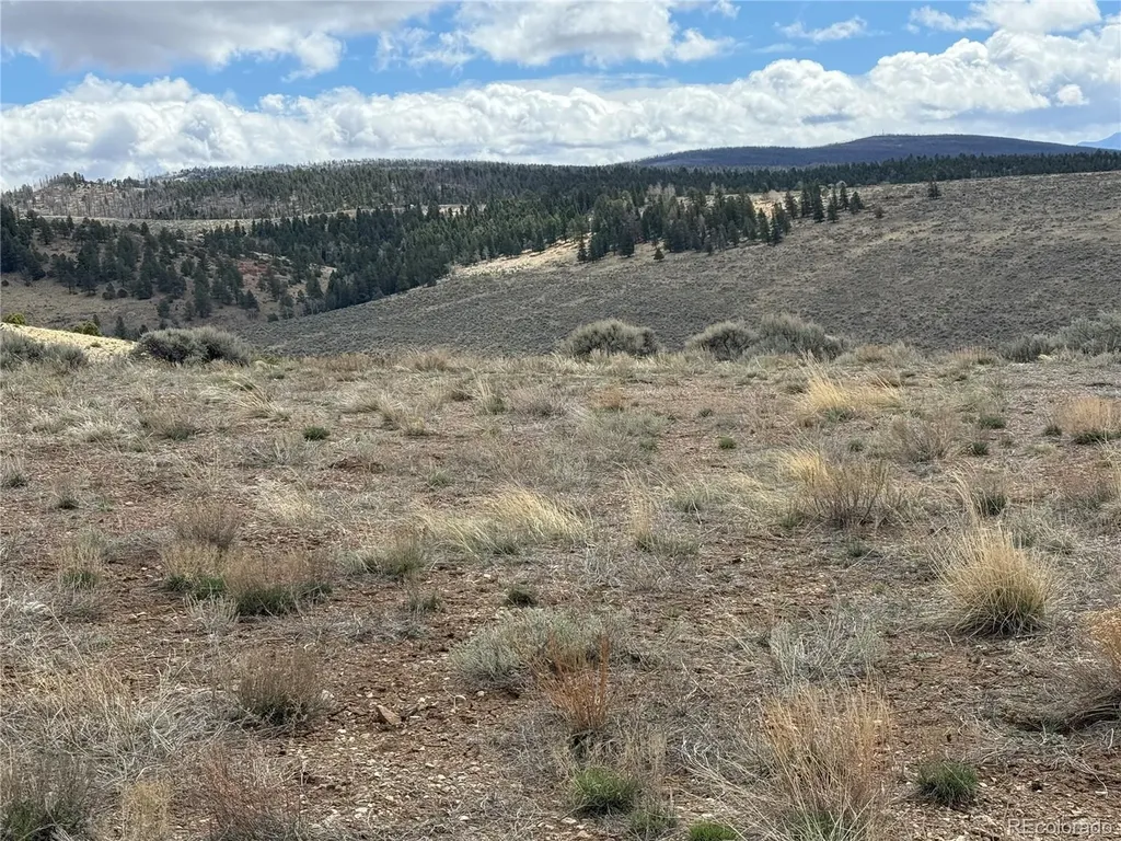 Lot 2415 Petito Drive Fort Garland CO 81133