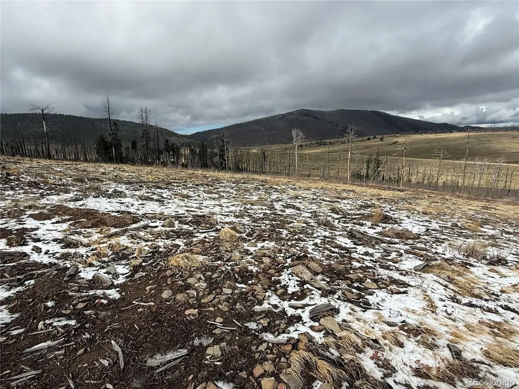 Lot 2415 Petito Drive Fort Garland CO 81133