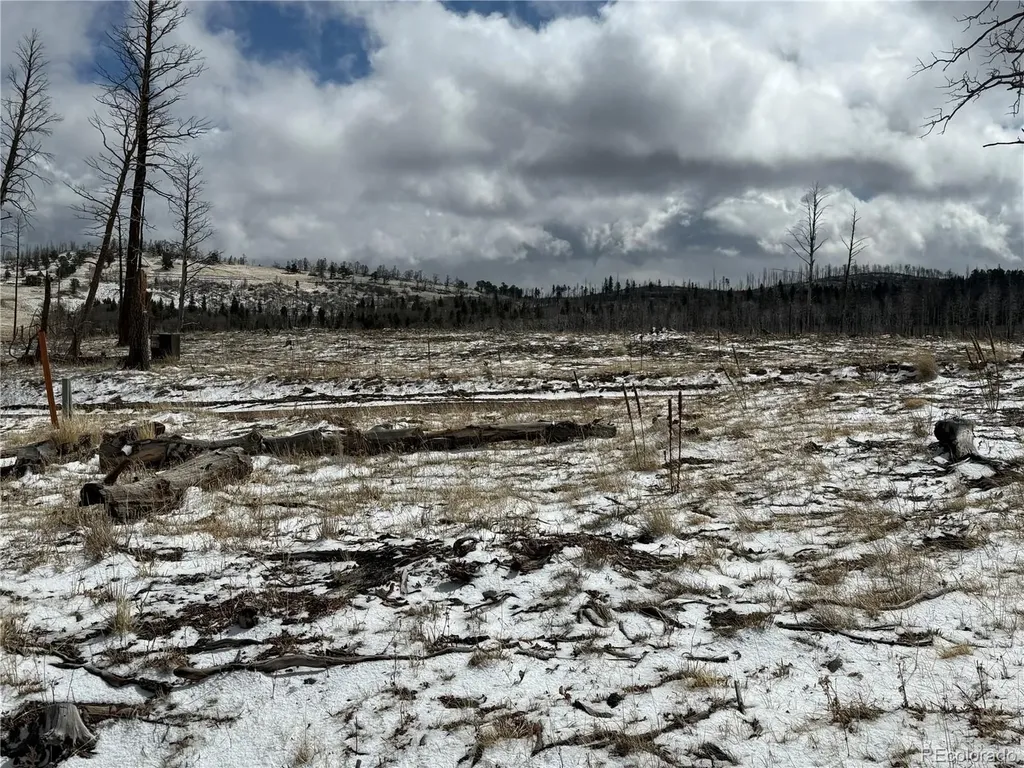 Lot 2415 Petito Drive Fort Garland CO 81133