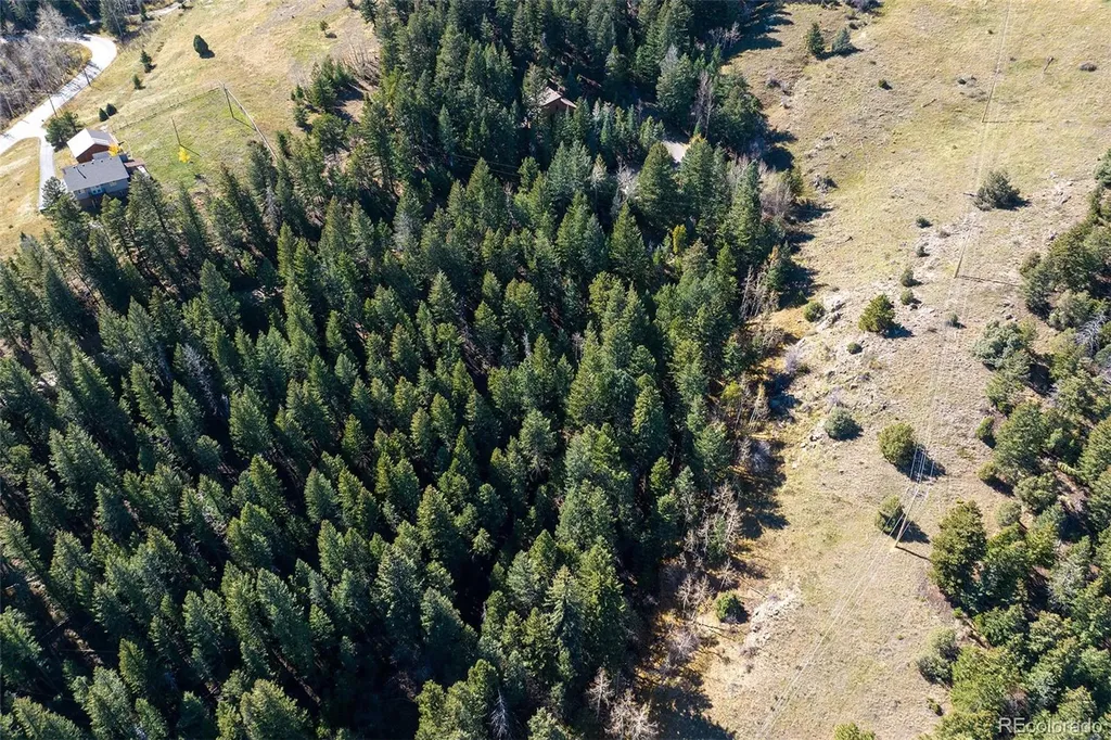 76 Ponderosa Place Evergreen CO 80439