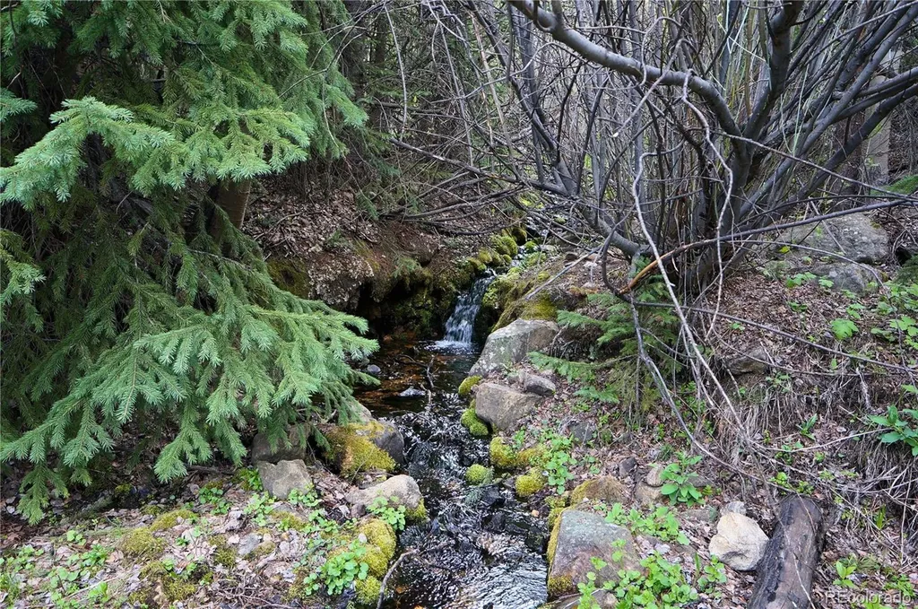 000 Trail Creek Road Idaho Springs CO 80452