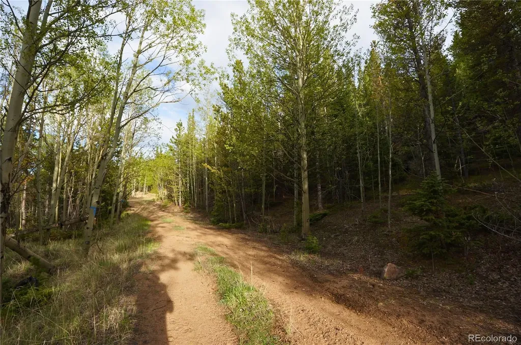 000 Trail Creek Road Idaho Springs CO 80452
