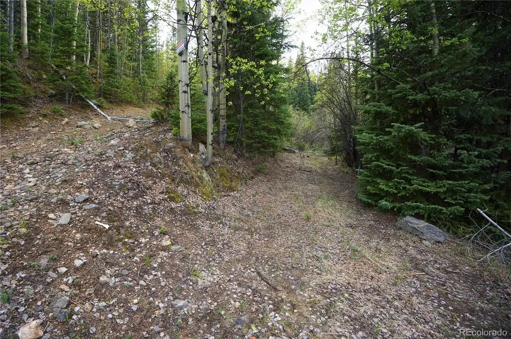000 Trail Creek Road Idaho Springs CO 80452