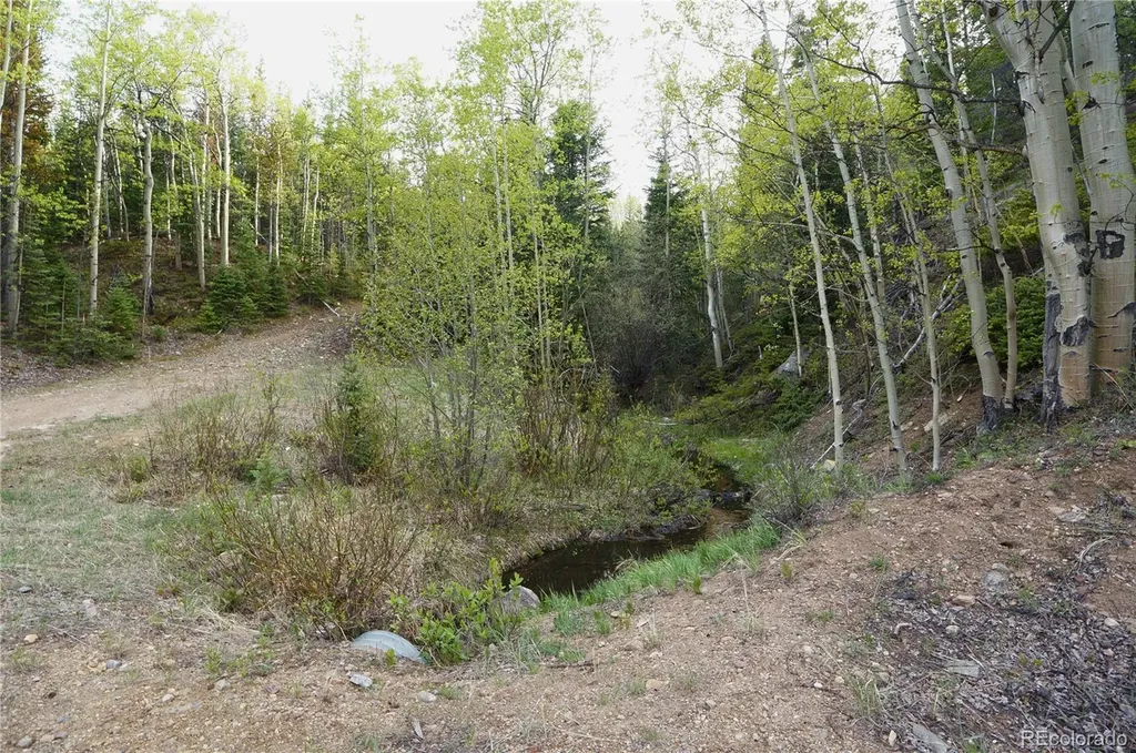 000 Trail Creek Road Idaho Springs CO 80452