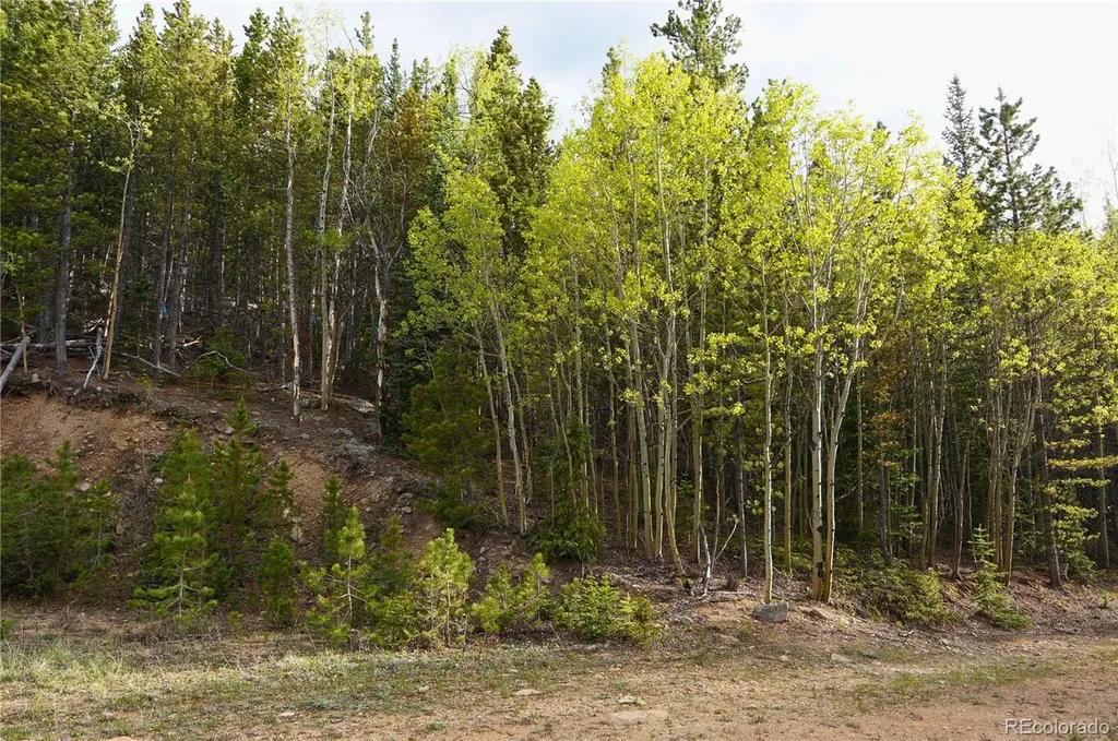 000 Trail Creek Road Idaho Springs CO 80452