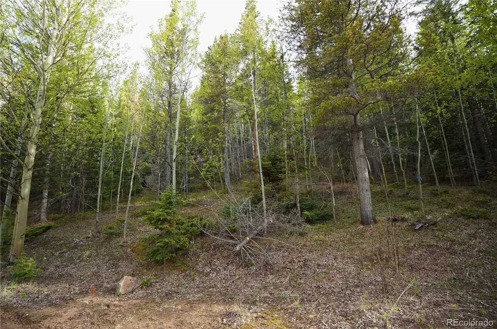 000 Trail Creek Road Idaho Springs CO 80452