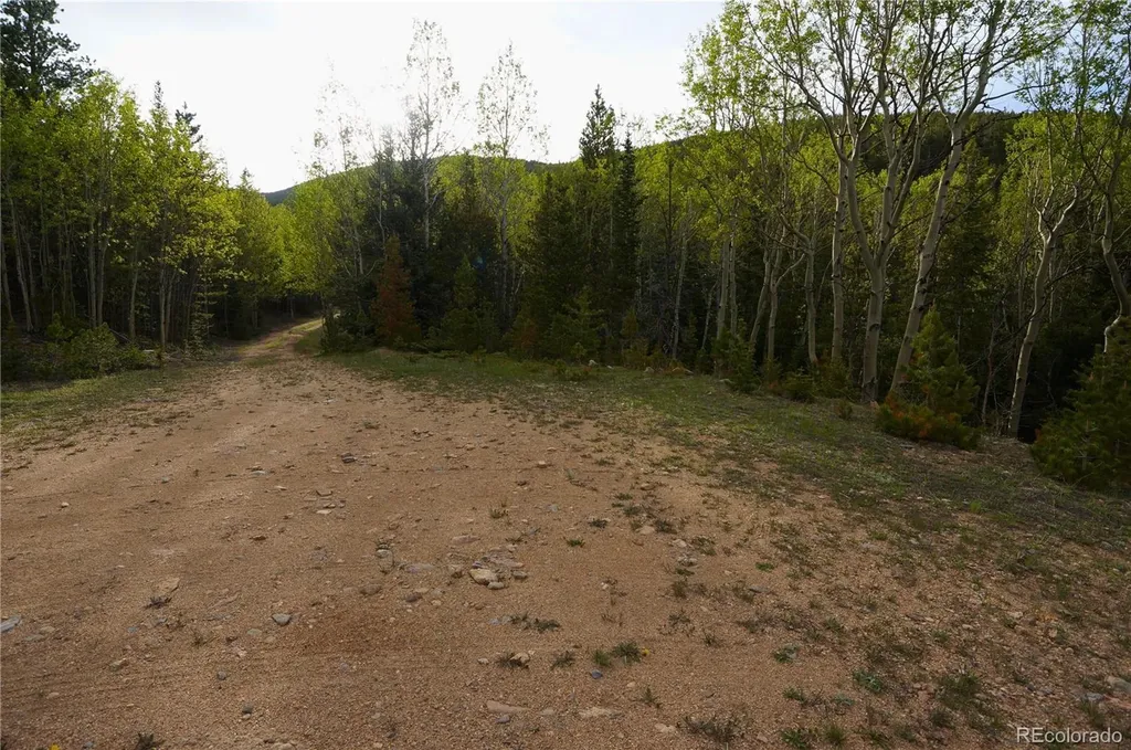 000 Trail Creek Road Idaho Springs CO 80452
