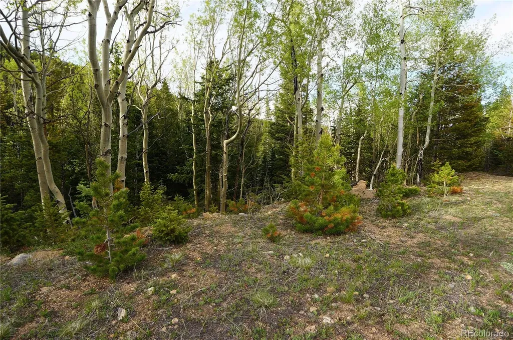 000 Trail Creek Road Idaho Springs CO 80452