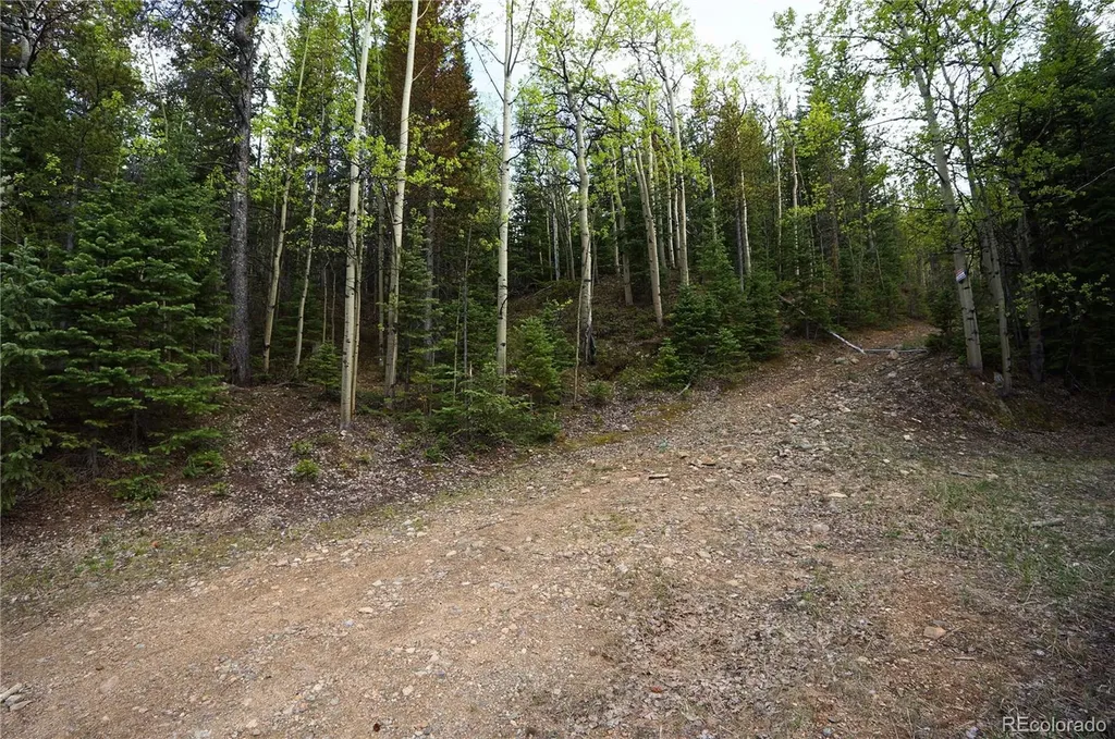 000 Trail Creek Road Idaho Springs CO 80452