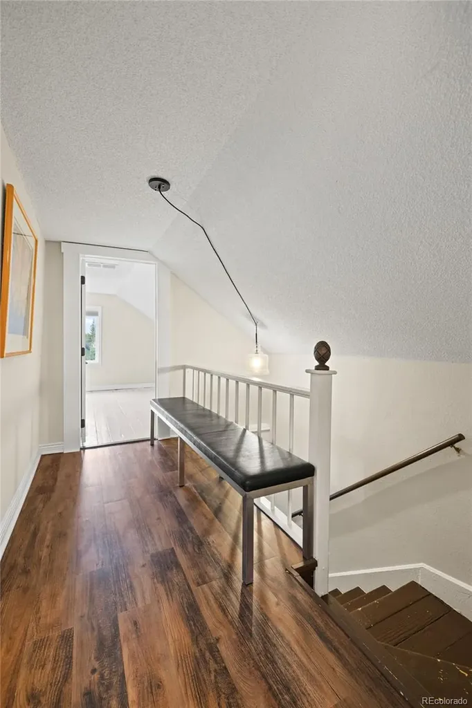 218 E 8th Street Leadville CO 80461