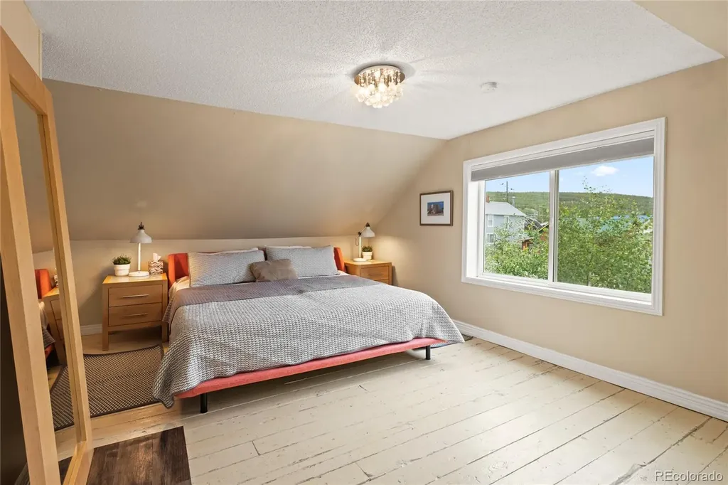 218 E 8th Street Leadville CO 80461
