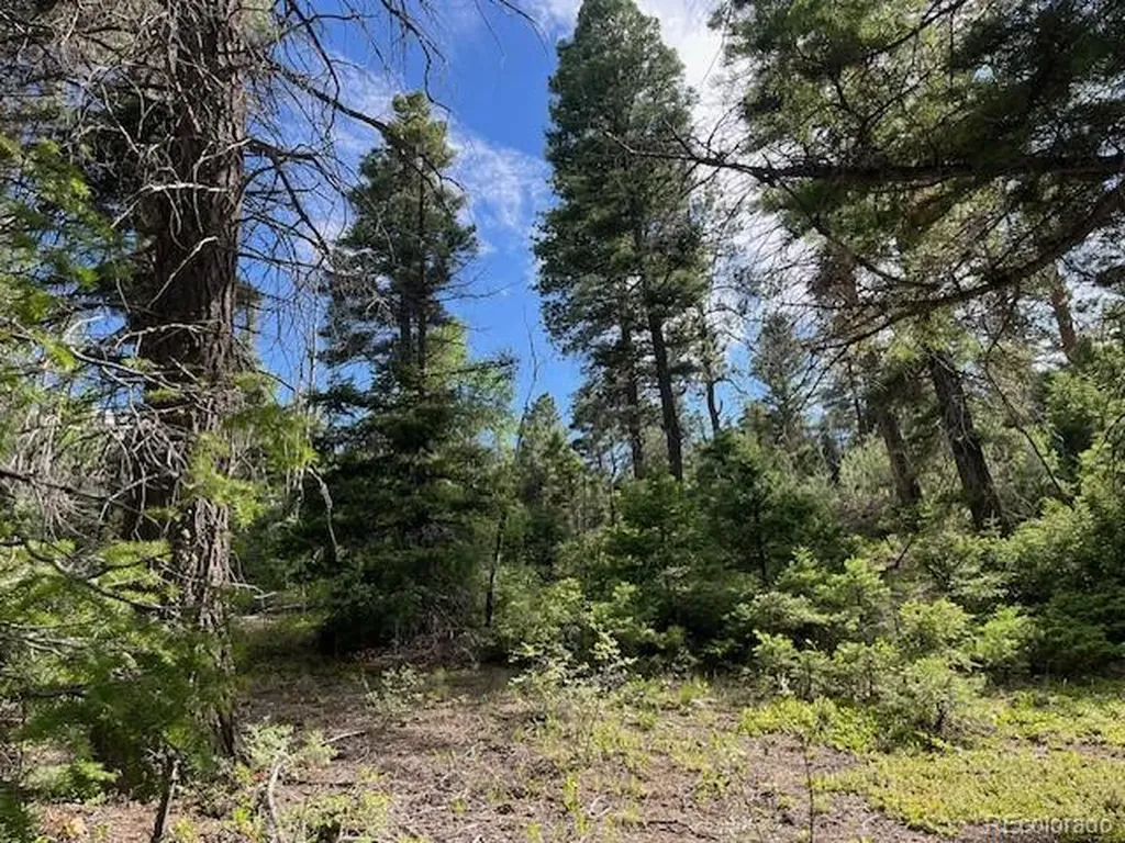 Lot 5757 Balleroy Road San Luis CO 81152