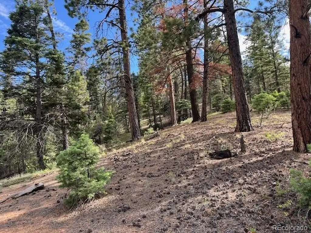 Lot 5757 Balleroy Road San Luis CO 81152