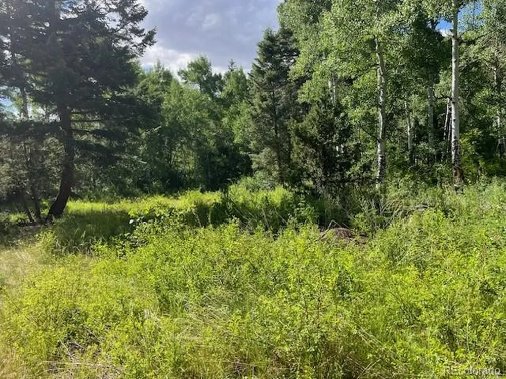 Lot 5757 Balleroy Road San Luis CO 81152
